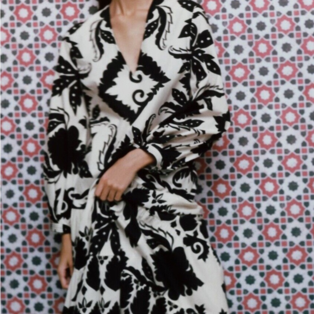 Zara Black and Ivory Printed Dress